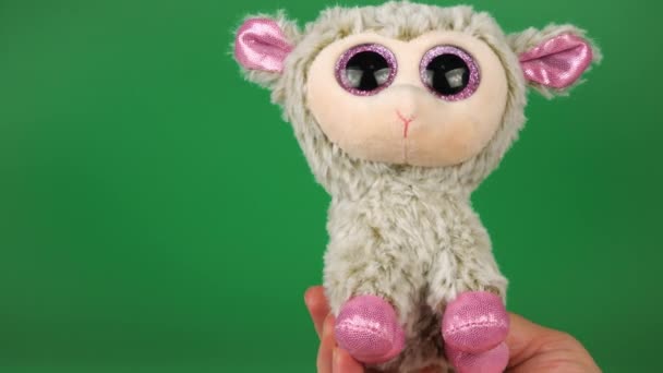 Nadziewane Puszyste Pluszowe Owce Pluszowe Obraca Się Rozgląda Się Zielonym — Wideo stockowe