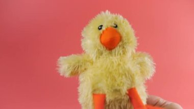 Doldurulmuş ve pofuduk oyuncak piliç pembe arka planda oynuyor ve dans ediyor..