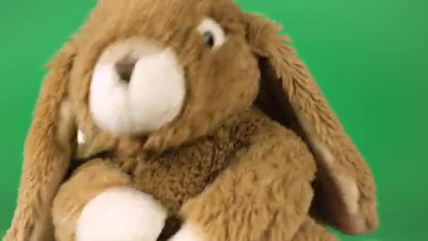 Фаршированный Пушистый Плюшевый Игрушечный Кролик Играет Танцует Зеленом Фоне — стоковое видео