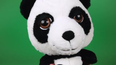 Doldurulmuş ve pofuduk oyuncak panda döner ve yeşil bir arka plana bakar..