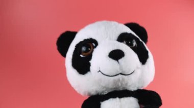 Doldurulmuş ve pofuduk oyuncak panda pembe arka planda selamlıyor.