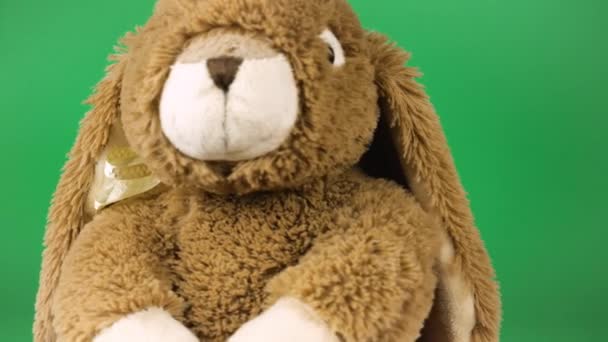 ふわふわしたふわふわふわのおもちゃウサギが回り 緑の背景を見回す — ストック動画