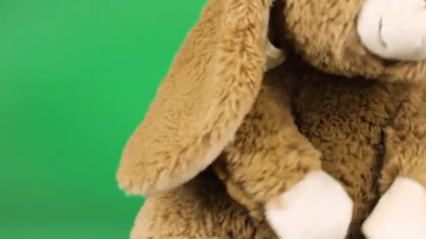 Peluche Peluche Relleno Esponjoso Conejo Jugando Bailando Sobre Fondo Verde — Vídeo de stock