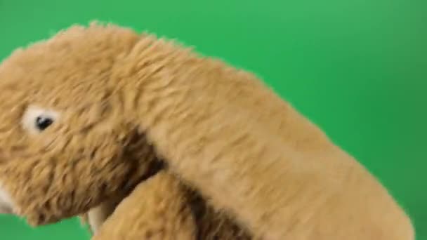 Фарширований Пухнастий Плюшевий Іграшковий Кролик Грає Танцює Зеленому Фоні — стокове відео