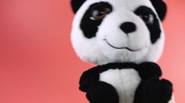Doldurulmuş ve pofuduk oyuncak panda pembe arka planda dans ediyor..