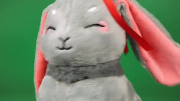 Фарширована Пухнаста Іграшка Сірий Кролик Грає Танцює Зеленому Фоні — стокове відео