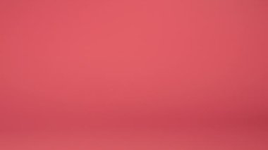 Doldurulmuş ve tüylü oyuncak ayıların melek kanatları pembe arka plana düşer. Yavaş çekim.