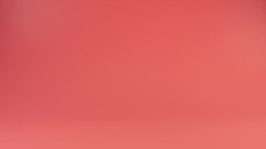 Doldurulmuş ve pofuduk oyuncak ayı pembe arka plana düşer. Yavaş çekim.