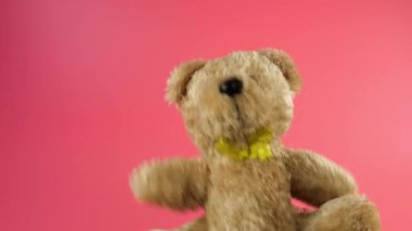 Doldurulmuş ve pofuduk oyuncak ayı kahverengi ayı pembe bir arka planda oynuyor ve dans ediyor.