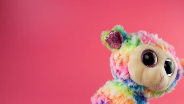 毛茸茸的毛绒绒的彩虹玩具羊在粉红的背景上嬉戏跳舞 图库视频