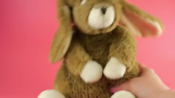Фаршировані Пухнасті Плюшеві Іграшки Вітання Кролика Рожевому Фоні — стокове відео