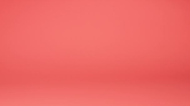Nadziewane Puszyste Pluszowe Zabawki Bernese Shepherd Szczeniak Spada Różowym Tle — Wideo stockowe