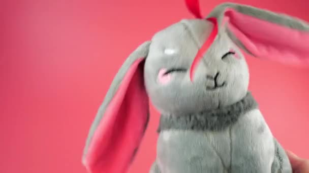 毛绒绒玩具灰兔在粉色背景下嬉戏跳舞 视频剪辑