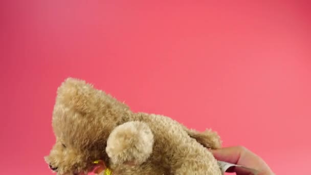 毛绒绒玩具棕熊在粉色背景下嬉戏跳舞 视频剪辑