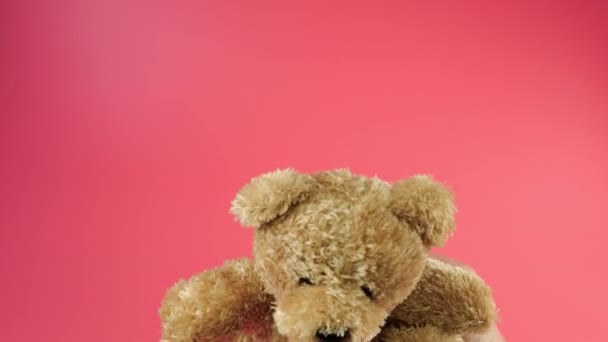 Stuffed Fluffy Teddy Toy Brown Bear Greeting Pink Background — Stock Video