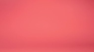 Doldurulmuş ve pofuduk oyuncak ayı pembe arka plana düşer. Yavaş çekim.