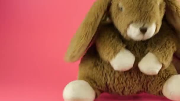 Peluche Peluche Relleno Esponjoso Conejo Jugando Bailando Sobre Fondo Rosa — Vídeo de stock