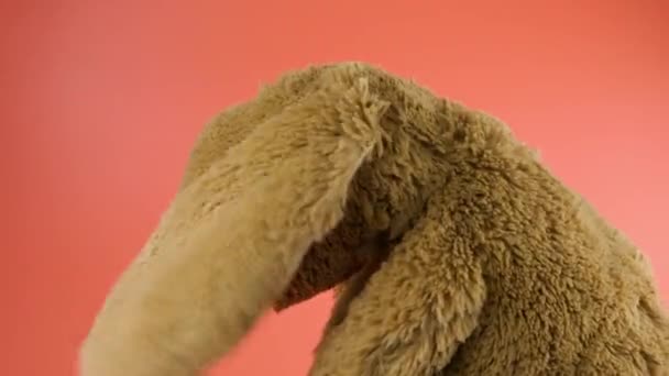 Boneka Dan Berbulu Kelinci Mainan Bermain Latar Belakang Merah Muda Stok Video Bebas Royalti
