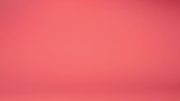 Pluszowy Puszysty Pluszowy Miś Spada Różowe Tło Zwolniony Ruch Filmik Stockowy