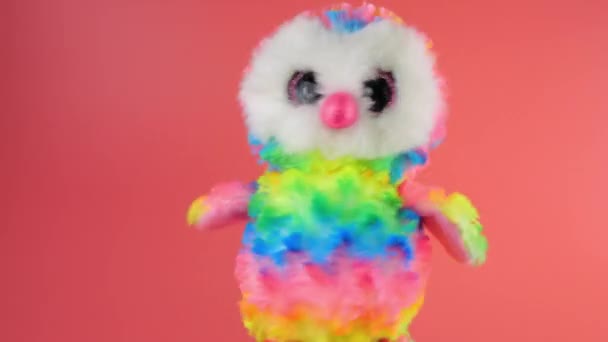 Stuffed Fluffy Plush Rainbow Toy Owl Playing Dancing Pink Background Royalty Free Stock Video
