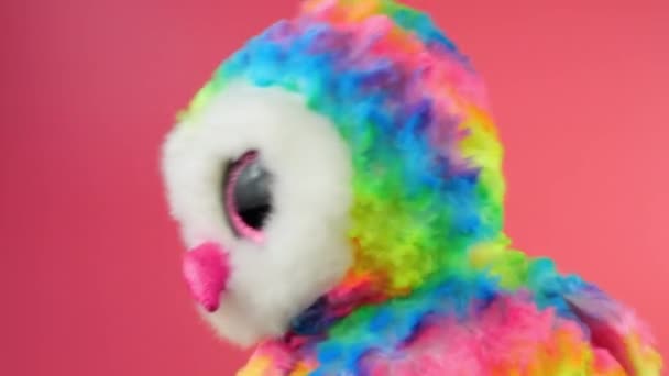 Nadziewane Puszyste Pluszowe Tęczowe Zabawki Sowa Bawiące Się Tańczące Różowym — Wideo stockowe