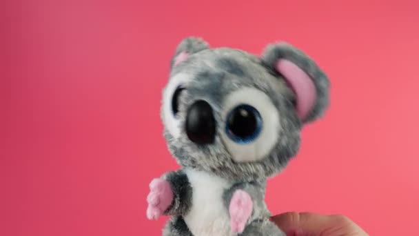 Gevuld Pluizig Pluche Speelgoed Koala Spelen Dansen Een Roze Achtergrond — Stockvideo