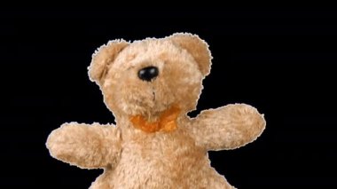 Doldurulmuş ve pofuduk oyuncak boz ayı oynuyor ve dans ediyor. Alfa kanalı dahil.