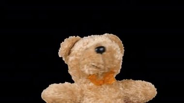 Doldurulmuş ve pofuduk oyuncak boz ayı oynuyor ve dans ediyor. Alfa kanalı dahil.