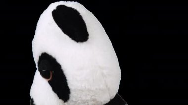 Doldurulmuş ve pofuduk oyuncak panda dönüp etrafına bakıyor. Alfa kanalı dahil.