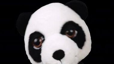 Doldurulmuş ve pofuduk oyuncak panda oynuyor ve dans ediyor. Alfa kanalı dahil.