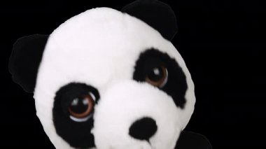 Doldurulmuş ve pofuduk oyuncak panda oynuyor ve dans ediyor. Alfa kanalı dahil.