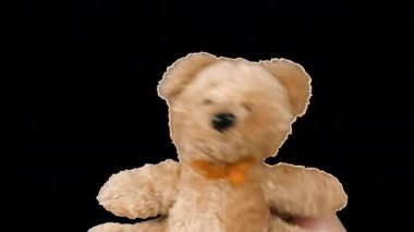 Doldurulmuş ve pofuduk oyuncak boz ayı oynuyor ve dans ediyor. Alfa kanalı dahil.