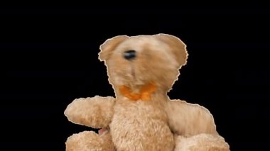 Doldurulmuş ve pofuduk oyuncak boz ayı oynuyor ve dans ediyor. Alfa kanalı dahil.