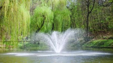 Gölün ortasında bir çeşme parktaki ağaçların arka planına karşı. Yavaş çekim.