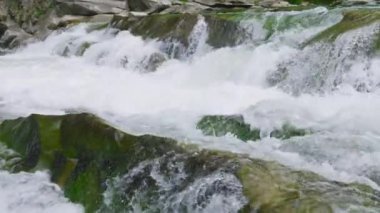 Bir dağ nehrinin fırtınalı suları ve şelaleleri. Yavaş çekim.