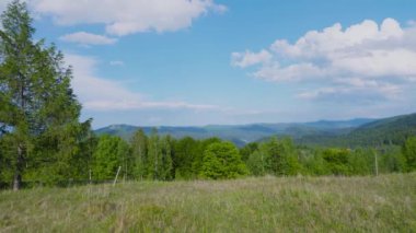 Dağların, ormanın, yazın vadilerin panoramik manzarası.