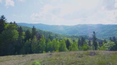 Dağların, ormanın, yazın vadilerin panoramik manzarası.