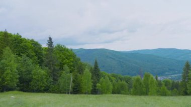 Dağların, ormanın, yazın vadilerin panoramik manzarası.