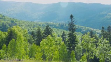 Dağların, ormanın, yazın vadilerin panoramik manzarası.