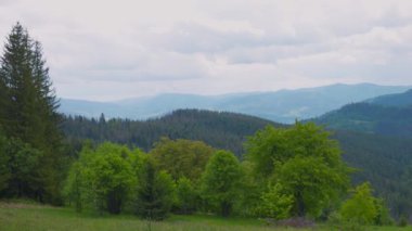 Dağların, ormanın, yazın vadilerin panoramik manzarası.