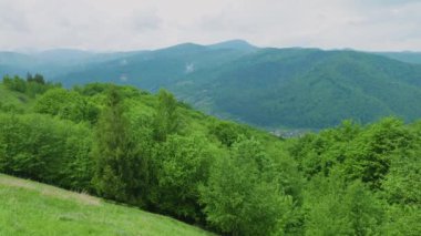 Dağların, ormanın, yazın vadilerin panoramik manzarası.