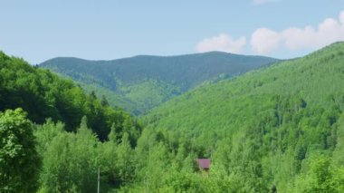 Dağların, ormanın, yazın vadilerin panoramik manzarası.