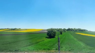 İlkbaharda Polonya 'daki tarım arazilerinin tren penceresinden görüntüsü.