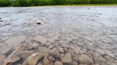Kayalık dibi ve berrak suyu olan sığ bir dağ nehri..