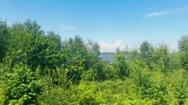 Güneş ışınlarının altındaki bir alanda güneş panelleri..