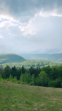 Dağların panoramik manzarası, ormanlar, yazları vadi. Dikey video.