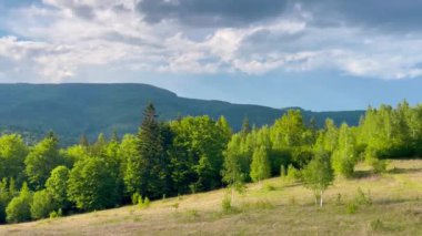 Dağların, ormanın, yazın vadilerin panoramik manzarası.