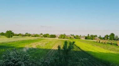 Güneş ışınlarının altındaki bir alanda güneş panelleri..