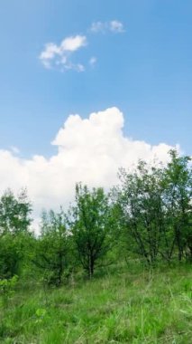 Yeşil çimenli ve gökyüzünde beyaz bulutlu yaz manzarası. Dikey video.