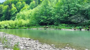 Dağ nehrinde su akıyor..